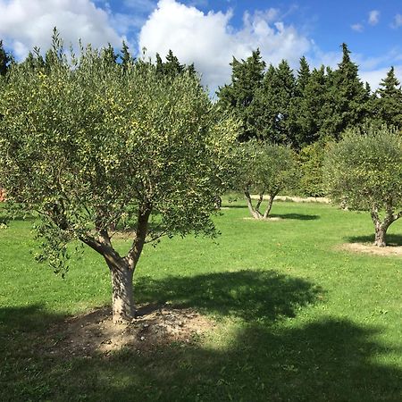 Le Mas Terre Des Anges Sarrians Exterior foto