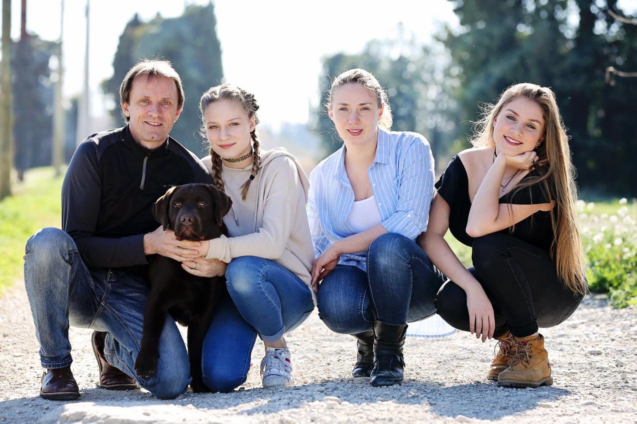 Le Mas Terre Des Anges Sarrians Exterior foto