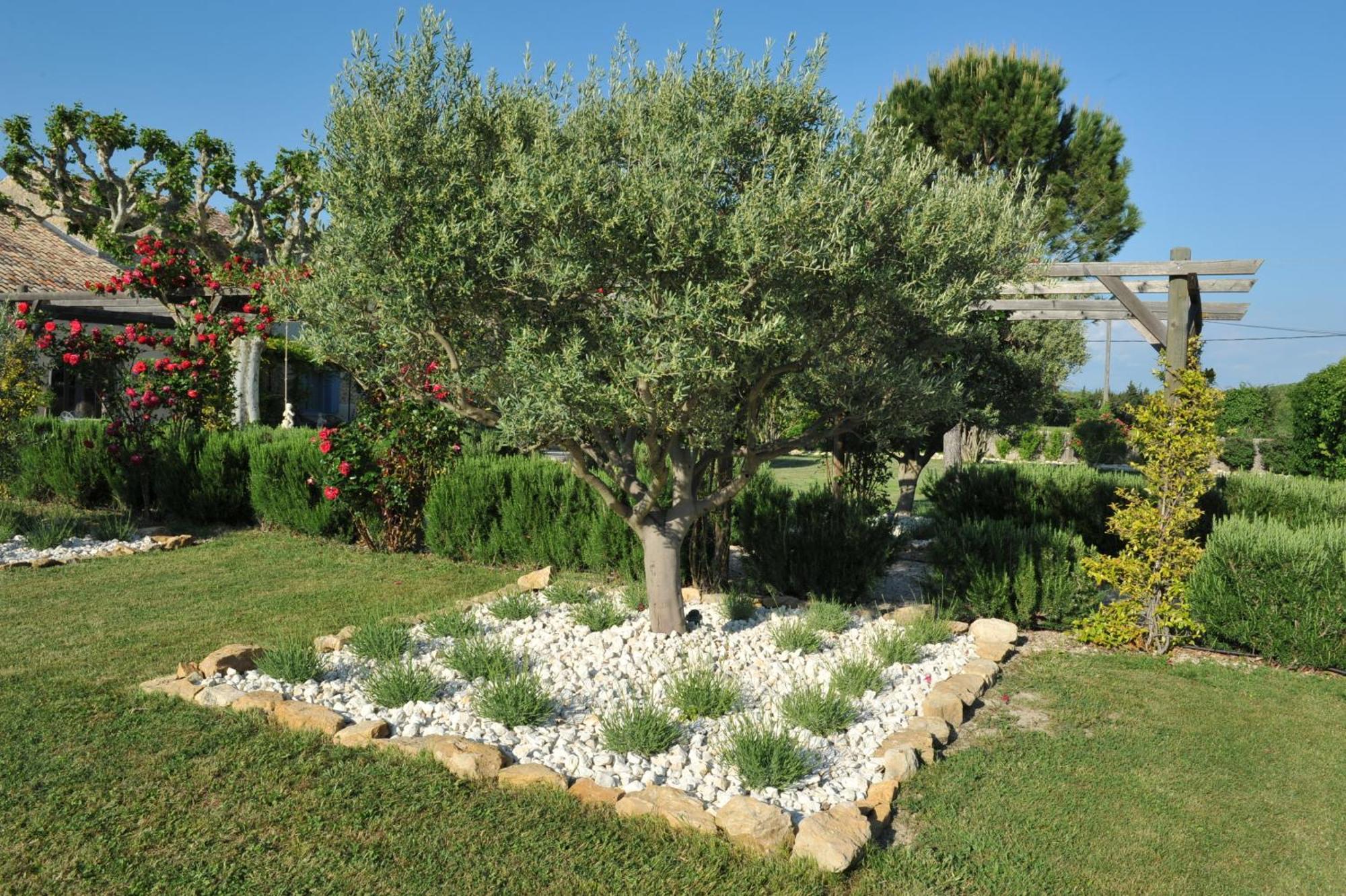Le Mas Terre Des Anges Sarrians Exterior foto